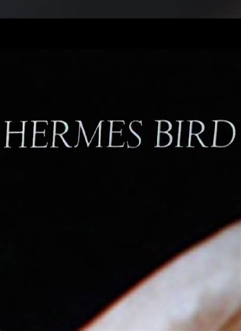 Hermes Bird (1979): Where to Watch and Stream Online